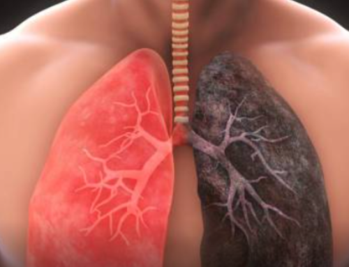 II Reunión Virtual Grupo EPOC