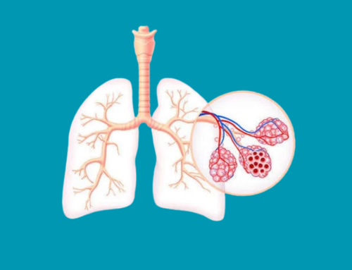 Curso EPID para Residentes